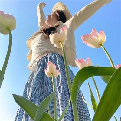 大唐女巡按